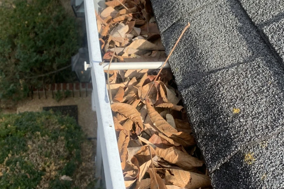 Gutter Cleaning Strongsville OH