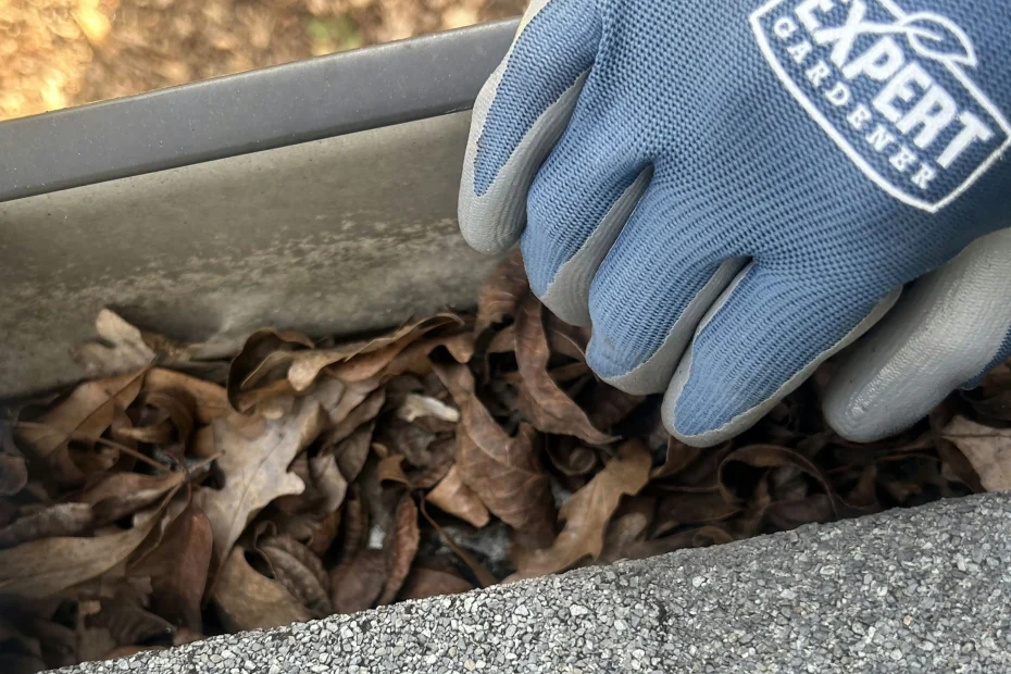 Strongsville Gutter Cleaning